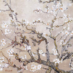 Almond Blossoms Canvas Art