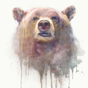 Bears Canvas Wall Art