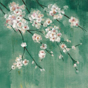 Cherry Blossoms Canvas Prints