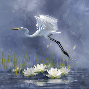 Egrets Canvas Art Prints