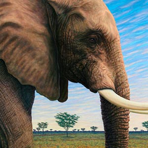 Elephants Canvas Art
