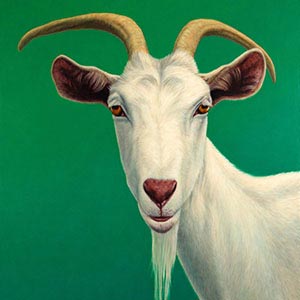 Goats Canvas Artwork