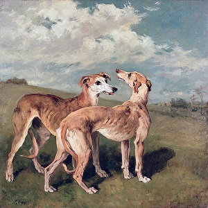 Greyhounds Canvas Prints
