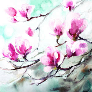 Magnolias Canvas Prints