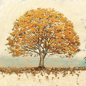 Oak Trees Canvas Art Prints