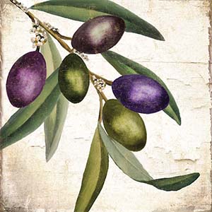 Olive Trees Canvas Art Prints