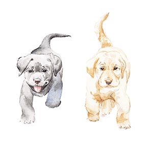 Puppies Canvas Artwork