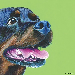 Rottweilers Canvas Art Prints
