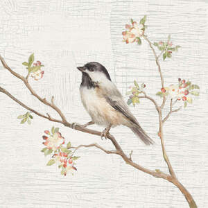 Sparrows Canvas Prints