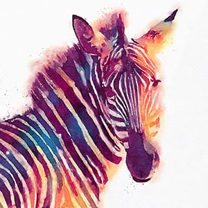 Zebras Art Prints